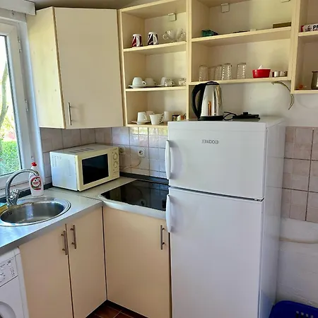 Golden Lily - Pet Friendly