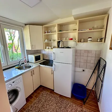 Golden Lily - Pet Friendly *