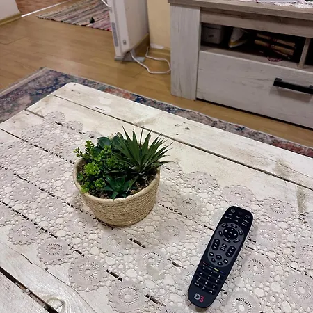 Golden Lily - Pet Friendly Apartament