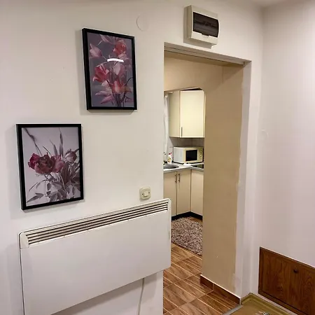 Golden Lily - Pet Friendly アパート *