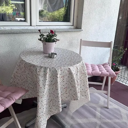 Golden Lily - Pet Friendly