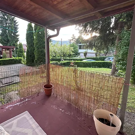 Daire Golden Lily - Pet Friendly