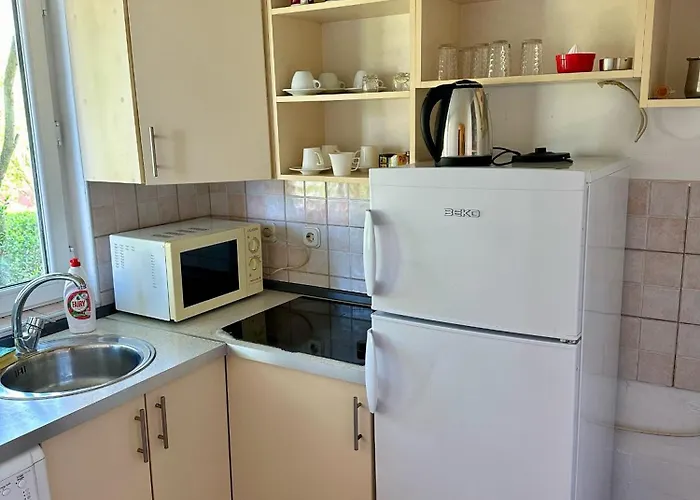 Golden Lily - Pet Friendly