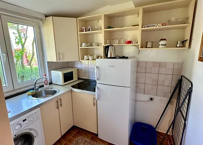 Golden Lily - Pet Friendly *