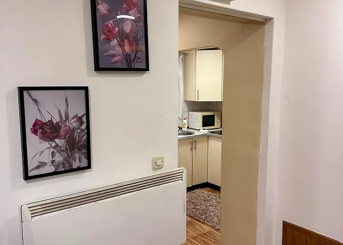 Golden Lily - Pet Friendly アパート *